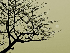 Chạm vào tháng Chạp