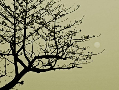 Chạm vào tháng Chạp