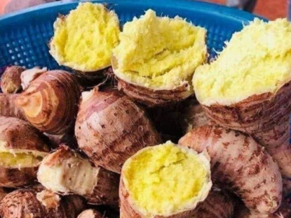 "Báu vật dưới lòng đất" xưa là món ăn cứu đói, nay thành đặc sản dân thành phố ưa chuộng, hương vị đặc biệt