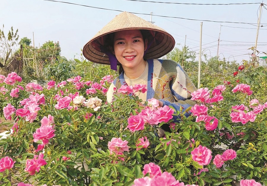 Tết về trên “thủ phủ” hoa Hà Nội - 1