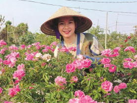 Tết về trên “thủ phủ” hoa Hà Nội