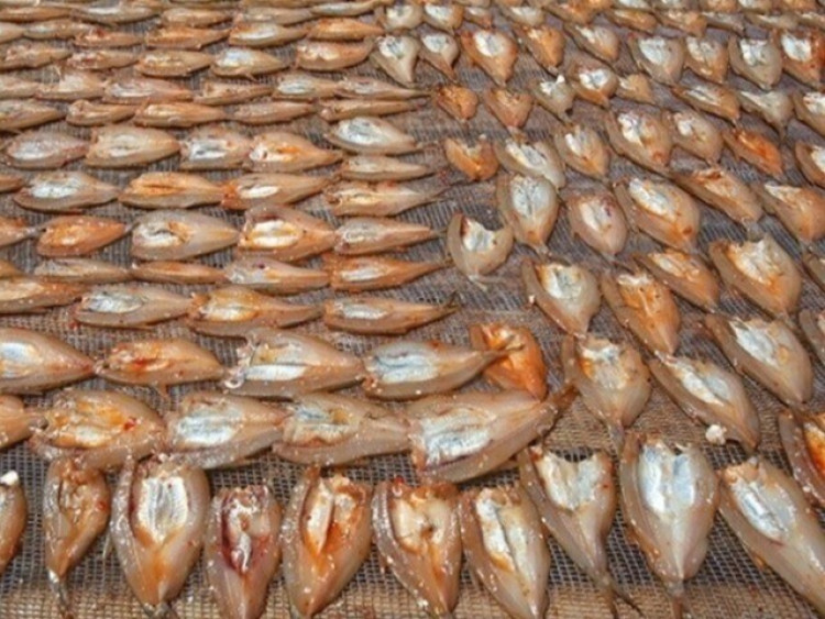 Đặc sản mỗi năm chỉ có một mùa, xưa dành cho người nghèo, nay được dân thành phố ưa chuộng vì hương vị lạ