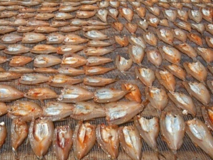 Đặc sản mỗi năm chỉ có một mùa, xưa dành cho người nghèo, nay được dân thành phố ưa chuộng vì hương vị lạ