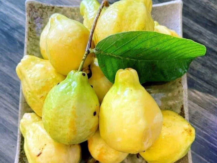 Loại quả xưa không ai biết đến, nay thành đặc sản nổi tiếng có hương vị lạ, dân thành phố thích mê