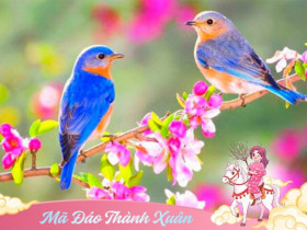 Ngày mai là tiết Lập Xuân năm 2026: 3 việc nên làm, 4 điều nên tránh để cả năm Bính Ngọ đón tài lộc, may mắn