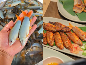 Sản vật miền Tây mùa nước nổi có tên dễ nhầm lẫn, thịt béo chắc, giá cả triệu đồng 1kg mà nhiều người tranh mua
