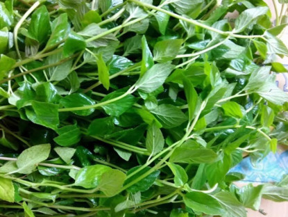 Cây dại mọc bờ rào xưa không ai ngó ngàng nay thành đặc sản nổi tiếng, trồng một lần thu hoạch nhiều năm, 120.000 đồng/kg