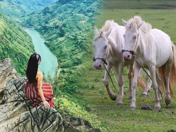 3 nguyên tắc mẹ nên nhớ khi cho trẻ ăn vặt ngày Tết