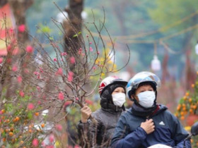 Tin tức 24h: Tết Bính Ngọ ở Hà Nội nóng ẩm hay mưa rét? Vì sao có các dự báo rất khác nhau?