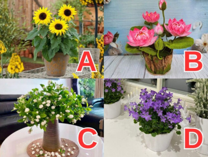 Bạn sẽ đón tin vui mang thai vào thời điểm nào trong năm 2026? Chọn chậu hoa theo trực giác và nhận ngay thông điệp