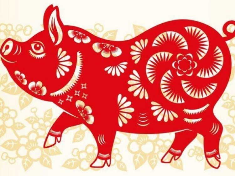 Tử vi tuần mới 16-22/2: Hợi vừa giàu vừa may, Mão có quý nhân trợ mệnh