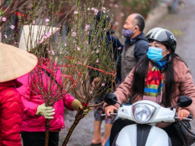 Tin tức 24h: Miền Bắc chuyển mưa phùn kèm rét ngày mùng 1 Tết