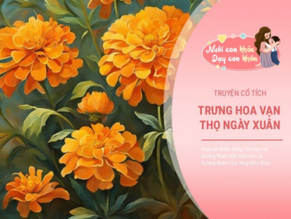 Truyện cổ tích: Sự tích hoa cúc vạn thọ