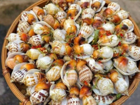 Đặc sản có tên "ngượng đỏ mặt", xưa không ai biết nay thành món khoái khẩu được ưa chuộng 200.000 đ/kg, thu hoạch quanh năm