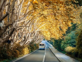 Trắc nghiệm: Sau kết hôn bạn sẽ thay đổi thế nào? Điều bạn hình dung cuối con đường sẽ cho câu trả lời