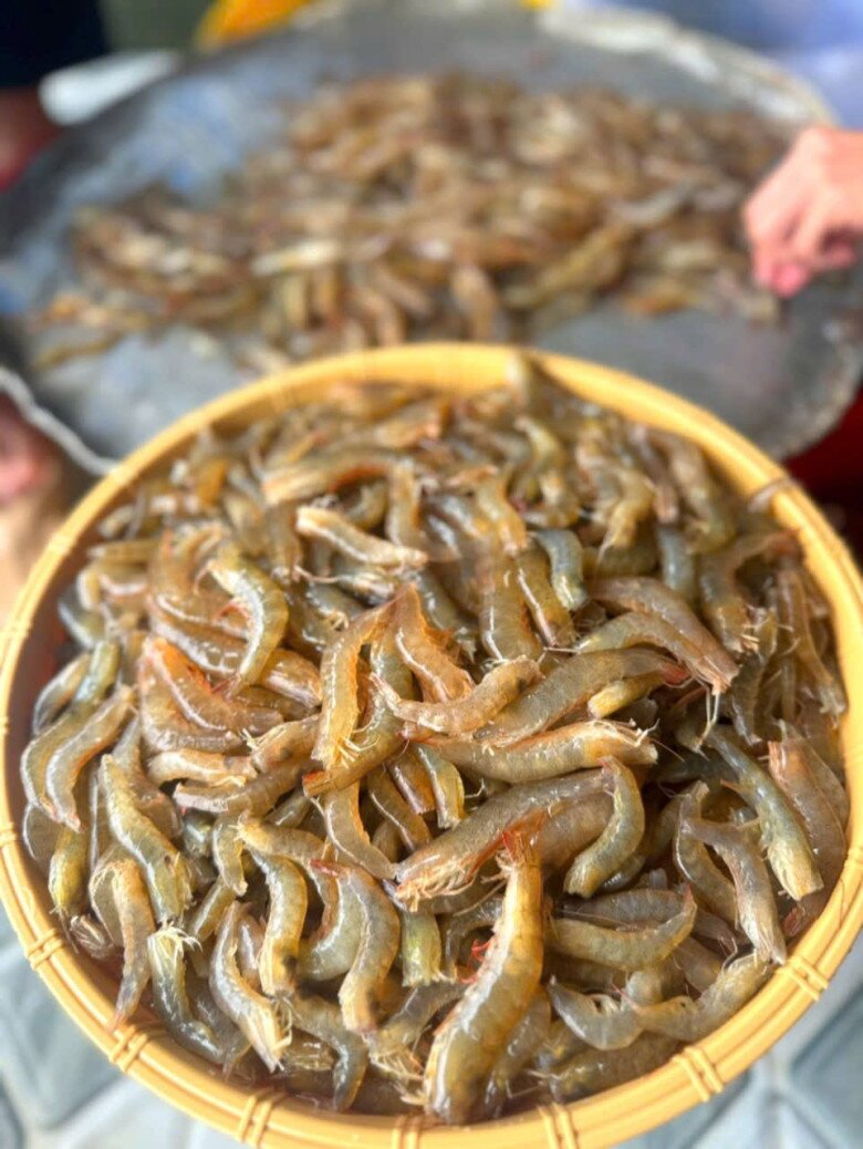 Rang tôm nhiều người hay cho nước này bảo sao bị tanh và mềm oặt, thay bằng một thứ tôm săn giòn, thơm nức mũi - 1