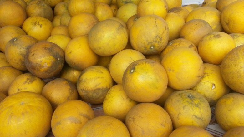 Cách chọn bưởi Diễn ngon ngọt sắc, chuẩn không chỉnh để dành ăn Tết Bính Ngọ - 2