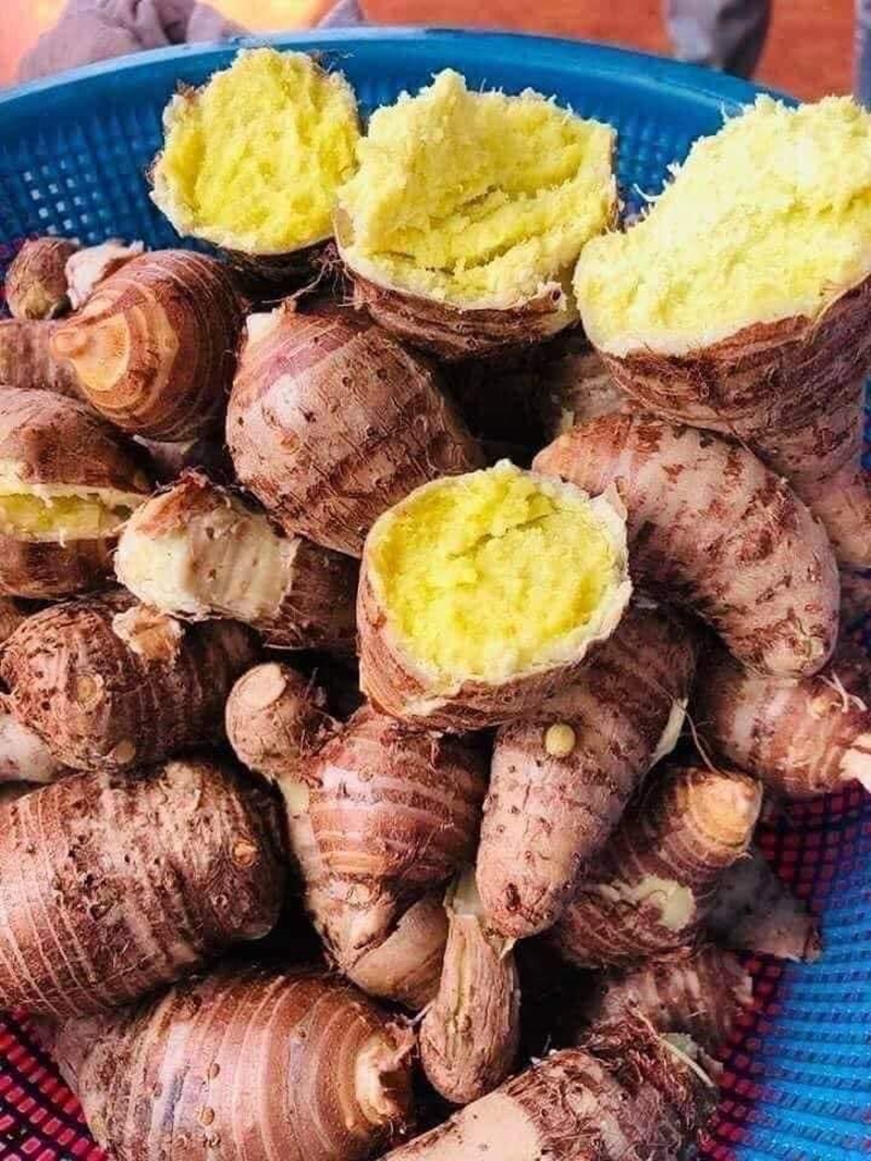 "Báu vật dưới lòng đất" xưa là món ăn cứu đói, nay thành đặc sản dân thành phố ưa chuộng, hương vị đặc biệt - 2