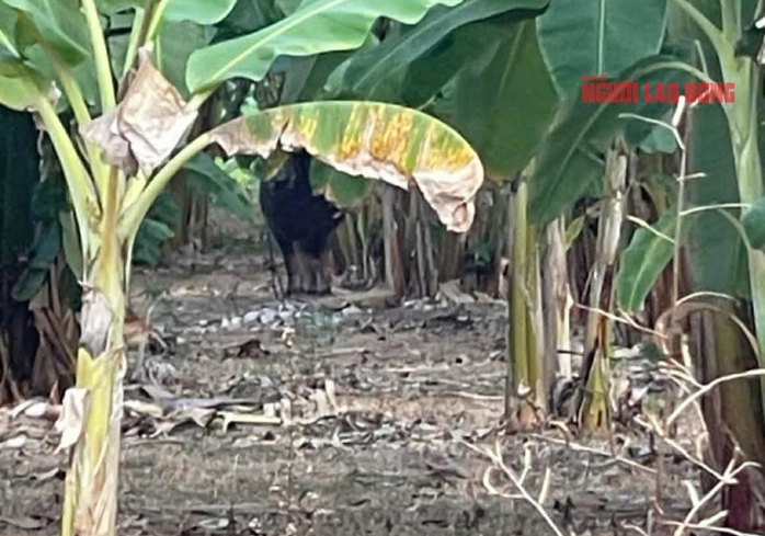 Tin tức 24h: Hà Nội sắp có ngày nóng gần ngang mùa Hè, nhiệt độ có thể lên mức bao nhiêu? - 4