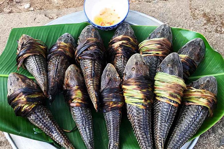 Loại cá xưa không ai dám ăn, giờ thành đặc sản nổi tiếng được khách du lịch "ưa thích", 60.000 đồng/kg - 2