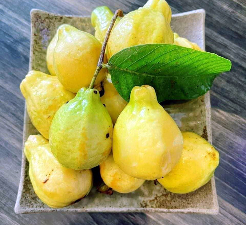 Loại quả xưa không ai biết đến, nay thành đặc sản nổi tiếng có hương vị lạ, dân thành phố thích mê - 2