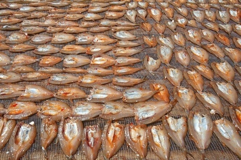 Đặc sản mỗi năm chỉ có một mùa, xưa dành cho người nghèo, nay được dân thành phố ưa chuộng vì hương vị lạ - 3