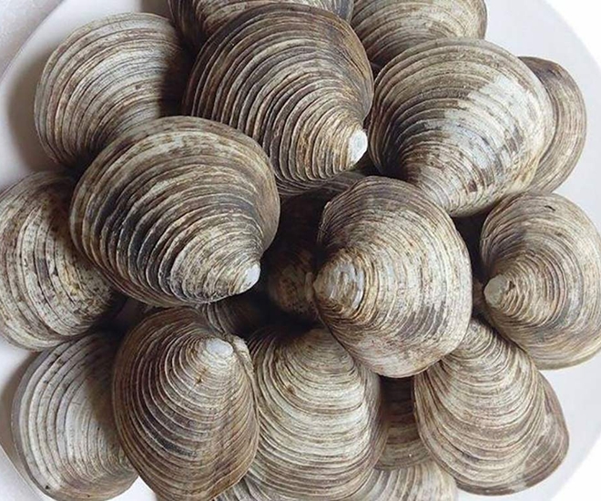 Ở Quảng Ninh có thứ đặc sản nhà giàu tiền triệu/kg, nghe tên thấy "ngán" nhưng ăn hết cả cân, rất tốt cho phái mạnh - 1