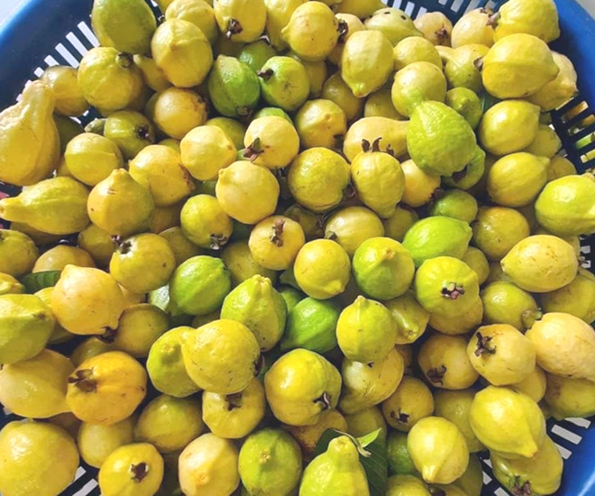 Loại quả xưa không ai biết đến, nay thành đặc sản nổi tiếng có hương vị lạ, dân thành phố thích mê - 1