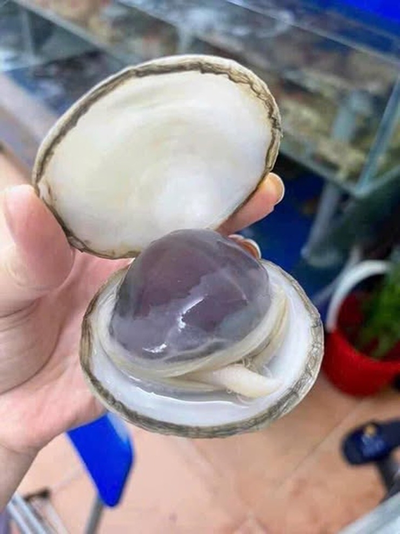 Ở Quảng Ninh có thứ đặc sản nhà giàu tiền triệu/kg, nghe tên thấy "ngán" nhưng ăn hết cả cân, rất tốt cho phái mạnh - 2