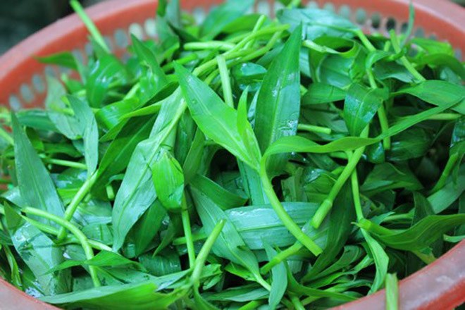 Loại rau dại mọc tua tủa sau mưa xưa nấu cho lợn nay “lên đời” thành đặc sản, 70.000 đồng/kg vẫn đắt khách - 2