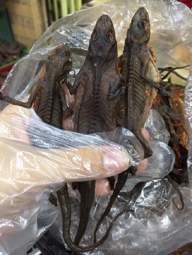 “Lộc trời” ở núi Bà Đen bò ra từ trong hang đá, dân bắt về phơi khô thành đặc sản, giá 1,5 triệu đồng/kg vẫn khó mua - 2