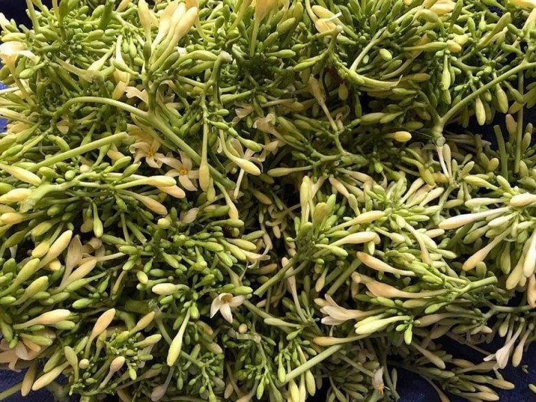 Thứ xưa rụng đầy gốc, có vị đắng nay thành đặc sản được ưa chuộng, làm đủ món ngon - 3