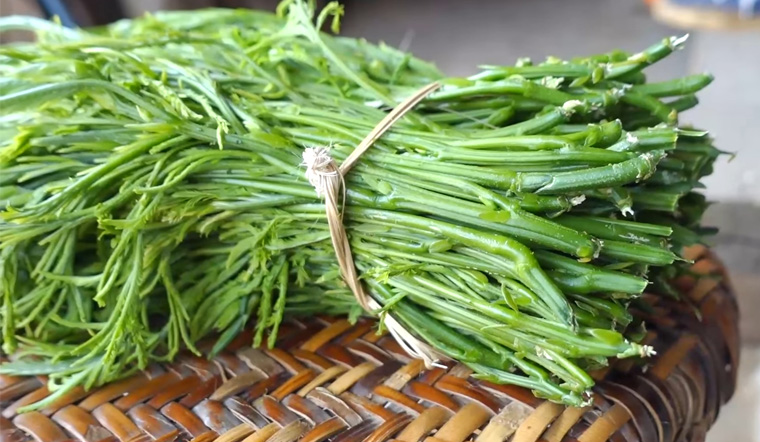 Cây dại “bốc mùi” được ví như “lộc trời”, là món ngon nổi tiếng với hương vị lạ, dân thành phố ưa chuộng - 3