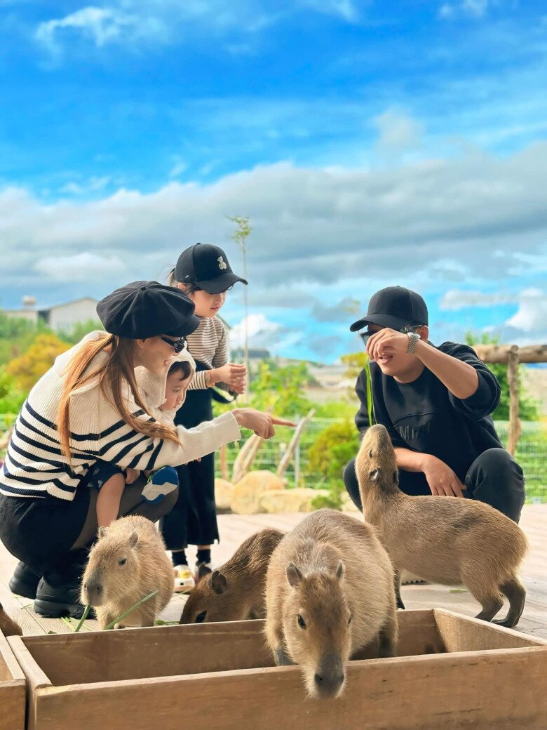 Dàn giám khảo "Đấu trường tiếu lâm" hiện tại: Người đi xe sang chục tỷ, người sinh con là xây thêm nhà - 5