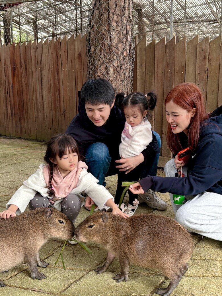 Sao Việt 24h: NSND Hồng Vân khoe "dáng nuột" thon thả ở tuổi U60, nhan sắc sau giảm cân "thăng hạng" không kém thời trẻ - 11