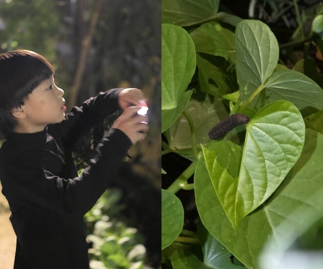 Sao Việt 24h: NSND Xuân Bắc tiết lộ ngày chỉ dành cho con út được 30 phút, về đêm muộn quý tử 8 tuổi vẫn thức đợi - 1