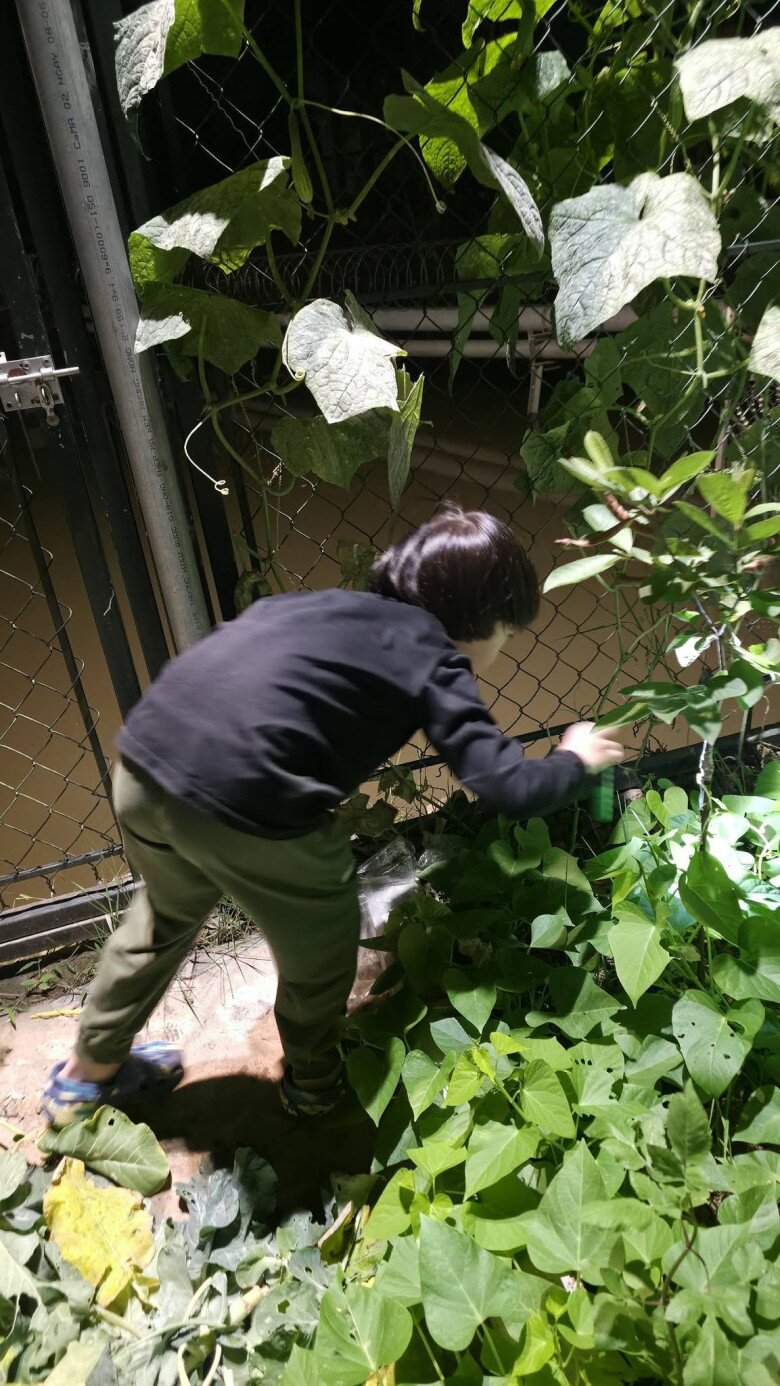 Sao Việt 24h: NSND Xuân Bắc tiết lộ ngày chỉ dành cho con út được 30 phút, về đêm muộn quý tử 8 tuổi vẫn thức đợi - 2