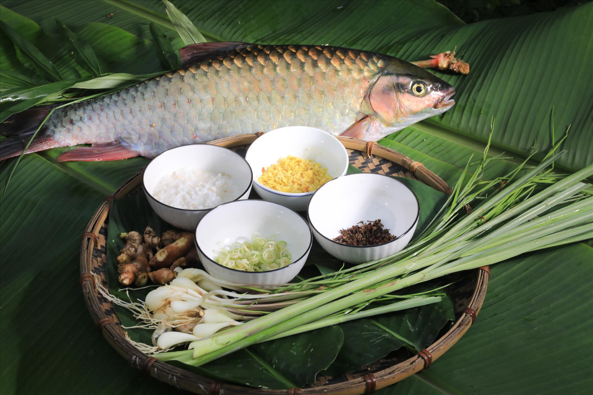 Loài cá đặc sản từng được mệnh danh “ngũ quái hà thủy”, thuộc loại hiếm có khó tìm, giá hơn 500.000 đồng/kg - 4