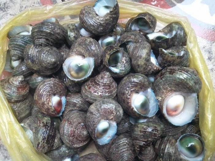 Đặc sản có tên độc lạ, xưa không ai ăn, nay thành món ngon nổi tiếng khắp vùng, 80.000 đồng/kg - 2