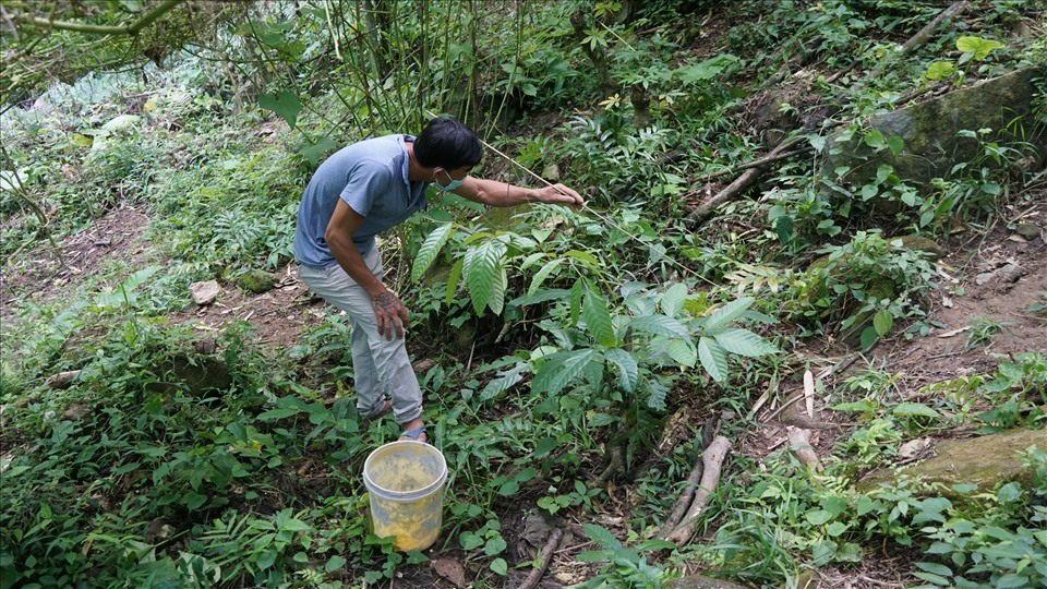 Nghề lạ ở Việt Nam: Lên núi câu con đặc sản được ví là “lộc trời” tại An Giang, người dân kiếm tiền triệu/ngày - 3