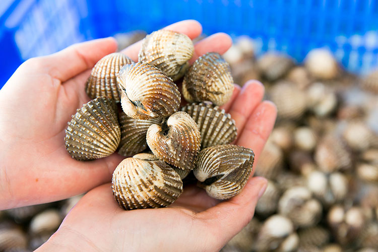 Nông dân đổi đời nhờ nuôi con tối ngày ngụp lặn dưới bùn, không phải cho ăn, tới mùa thu hoạch là "hốt bạc" - 2