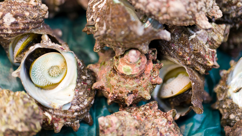 Đặc sản có tên độc lạ, xưa không ai ăn, nay thành món ngon nổi tiếng khắp vùng, 80.000 đồng/kg - 4