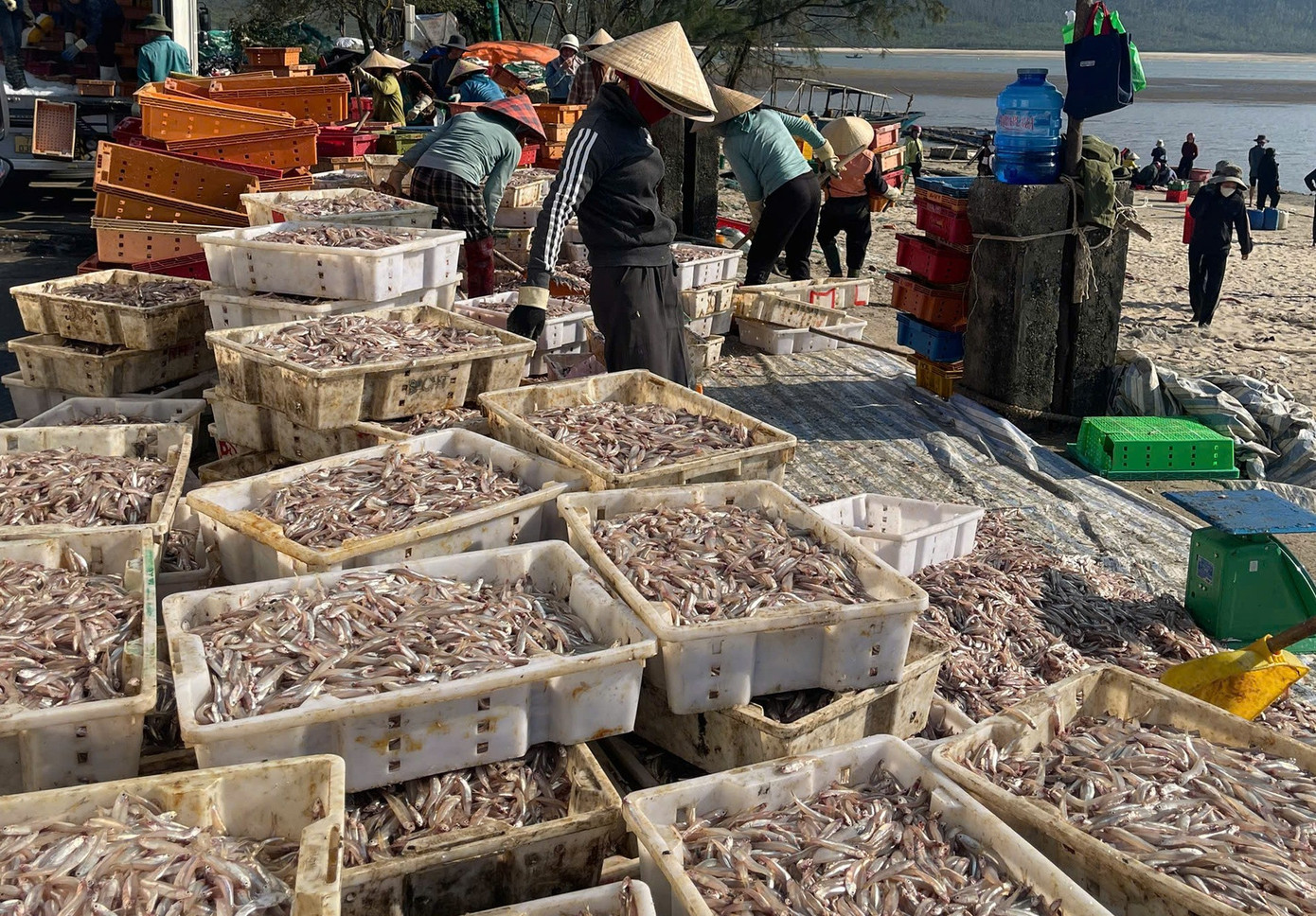 Tin tức 24h: Miền Bắc sắp rét dưới 6 độ khi đón không khí lạnh - 7