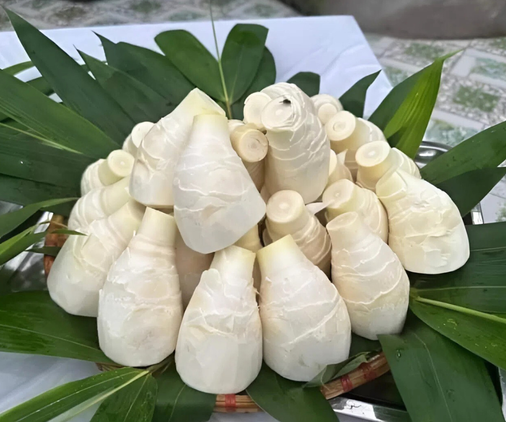 Loài cây “trăm đốt” sống trên đất cằn cỗi, trồng một lần thu hoạch 10 năm giúp người nông dân đổi đời - 1