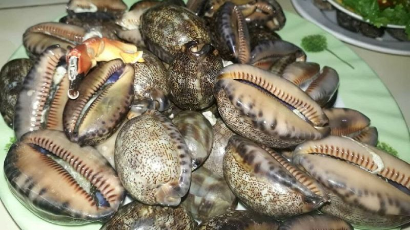 Đặc sản nghe tên "ngượng đỏ mặt", xưa không ai ngó ngàng nay dân thành phố ưa chuộng vì hương vị đặc biệt, 150.000 đồng/kg - 3