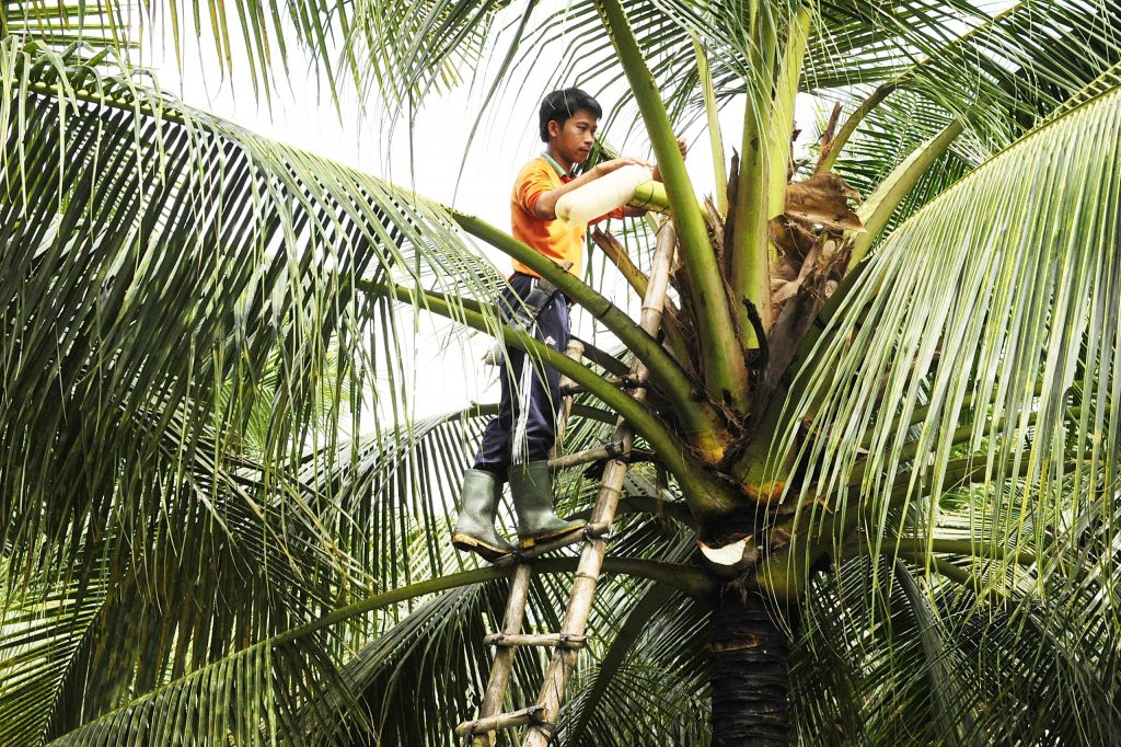 Nghề lạ ở Việt Nam: Mỗi ngày dùng tay vuốt ve một thứ tạo ra mật ngọt, trở thành đặc sản vạn người mê - 3