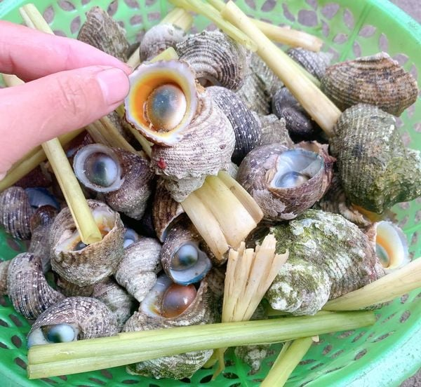 Đặc sản có tên độc lạ, xưa không ai ăn, nay thành món ngon nổi tiếng khắp vùng, 80.000 đồng/kg - 3