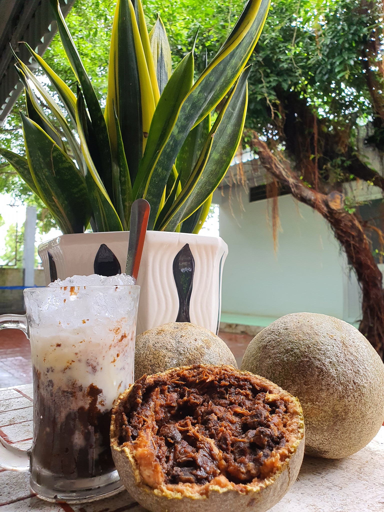 Loại quả xưa rụng đầy vườn nay lên đời thành đặc sản miền Tây nhờ hương vị lạ, có tiền cũng khó mà mua - 3