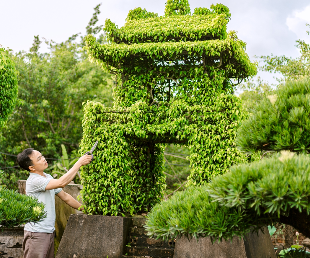 Nghề lạ ở Việt Nam: Người dân vui mừng khi chẳng cần vốn đầu tư, đi cắt lá là kiếm tiền triệu mỗi ngày dịp trước Tết - 1