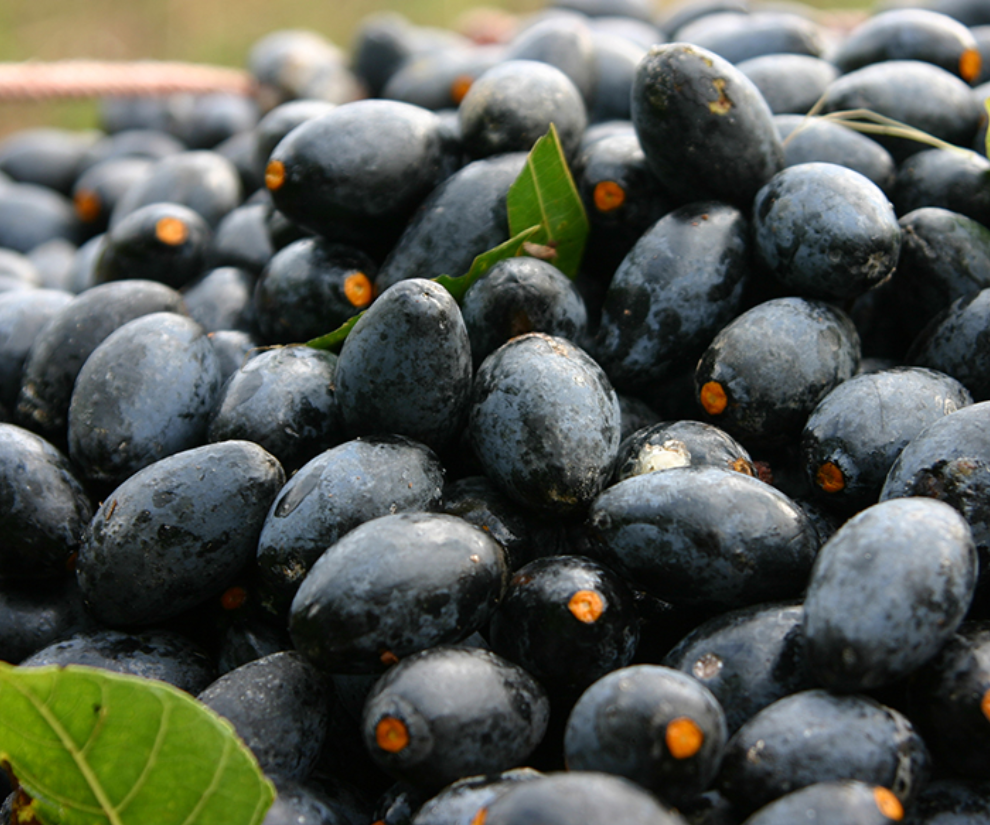 Món xưa nhà nghèo ăn đến chán ngán nay lên đời thành đặc sản lạ, dân thành phố săn lùng, 150.000 đồng/kg - 1